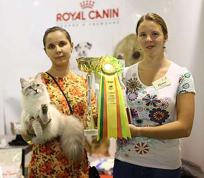 �������� ����� '���-�����-��������' 20-21 �������� 7-87-169A2481 copy.jpg